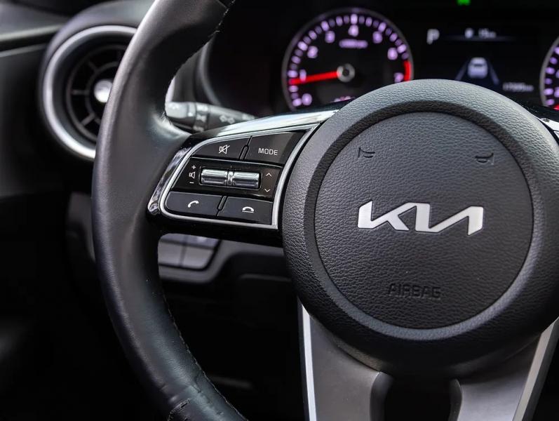 Autonews: Лидерами по угонам в России стали автомобили марок Kia, BMW и Renault