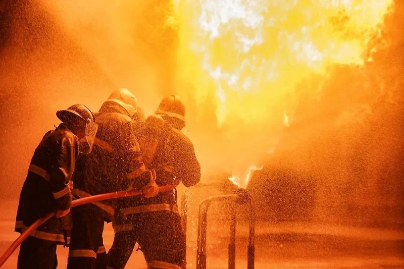 Аварийный режим электрооборудования стал причиной пожара в зоопарке Новосибирска