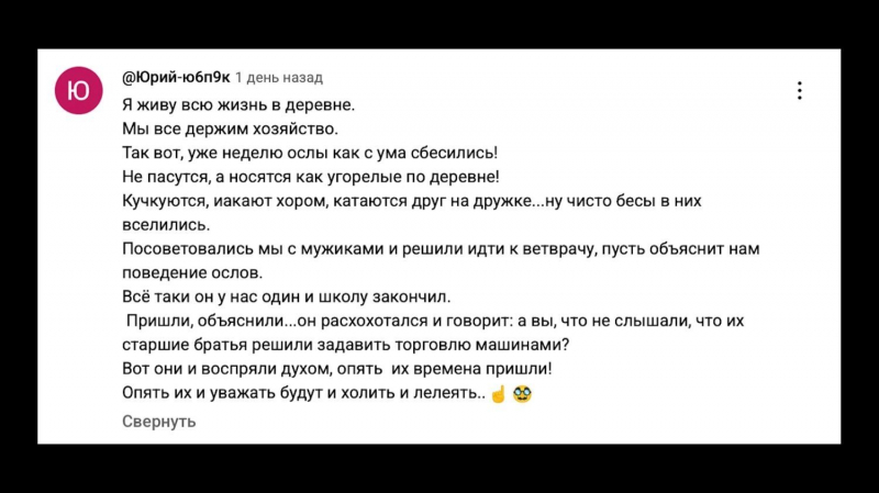 &laquo;Совсем народ не жалко&raquo;: что говорят россияне об идее увеличить утильсбор с 1 ноября