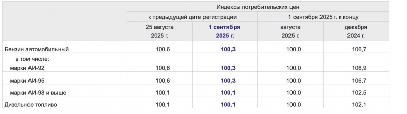 Топливный кризис на АЗС. Почему в нефтяной России так быстро дорожает бензин?