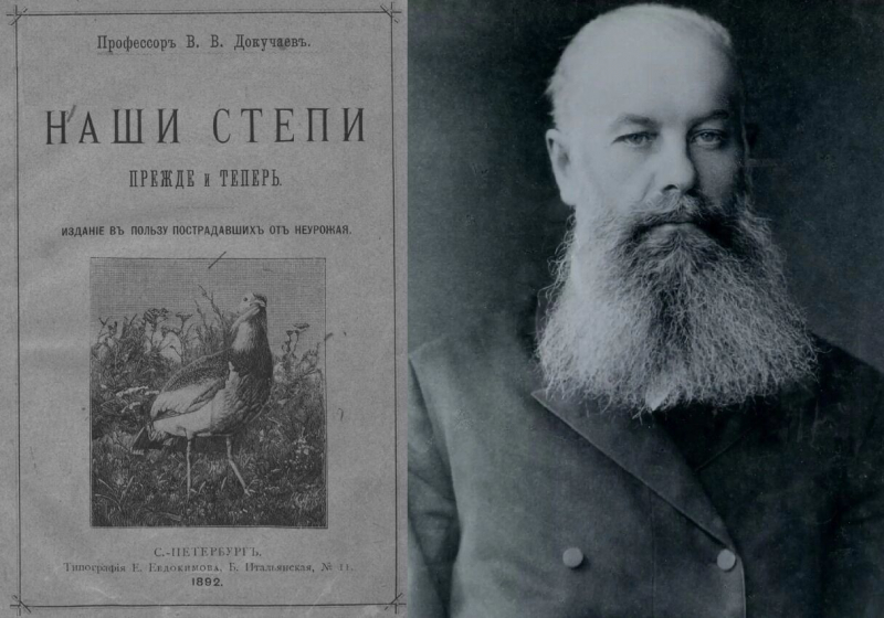 Засуха и новый неурожай. Почему власти не берегут сталинское наследие &mdash; лесополосы