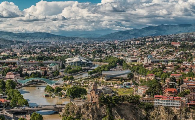 Дом экс-министра регионального развития Грузии обыскали, его зама арестовали