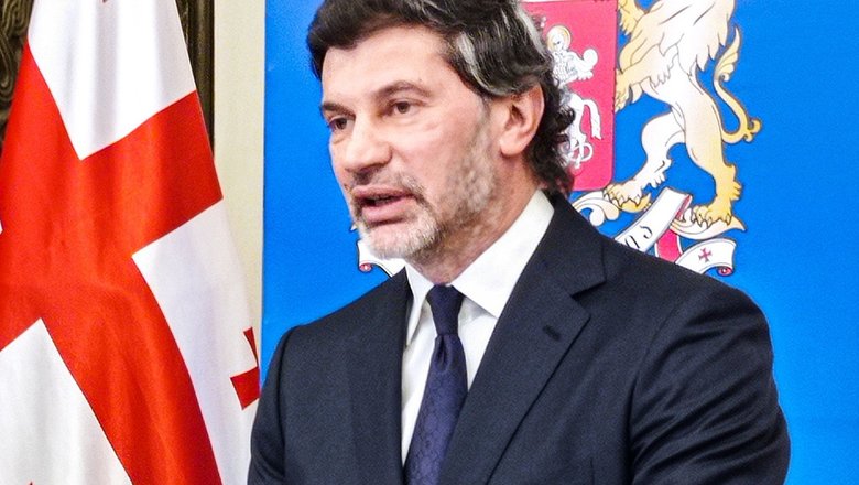 Генсек правящей в Грузии партии: беспорядки в Тбилиси &mdash; попытка госпереворота