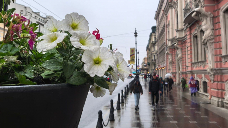 Гребень антициклона с юга защитит Петербург от дождей