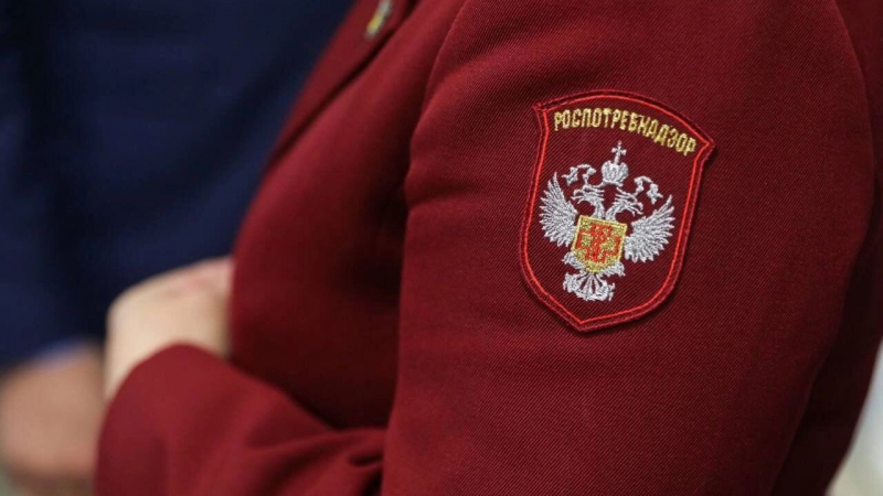 Сальмонеллез и норовирус: вспышки кишечных инфекций накрыли Россию