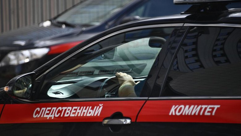 СК назвал число пострадавших от преступлений Киева с 2014 года