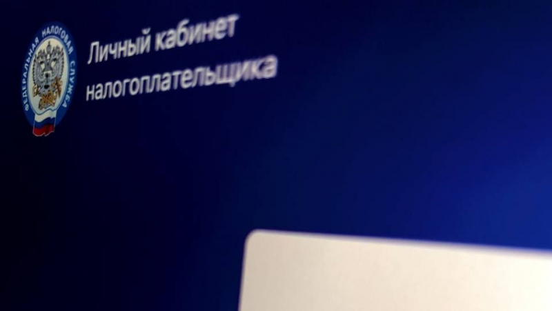 Время платить налоги: как сэкономить, не нарушив закон