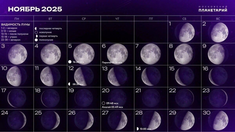 Самая близкая Луна года: 5 ноября небо покажет редкое совпадение орбит