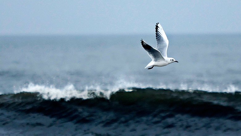 СМИ: Балтийское море наводнили военные «корабли-призраки»