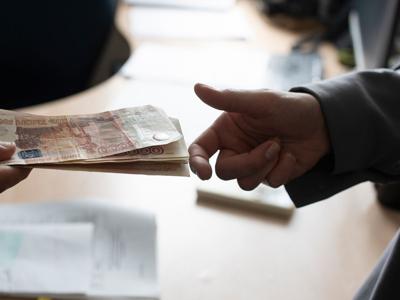 В России начались проверки скрытых доходов неработающих граждан: что и у кого будет проверять ФНС
